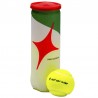Bote de pelotas Starvie Master Ball